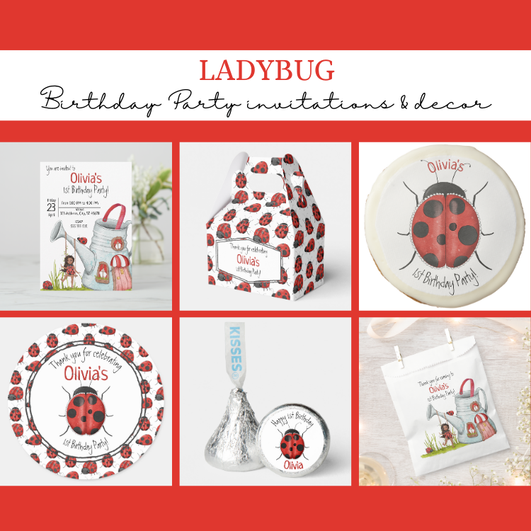 Making Magic with a Ladybug Theme Birthday Party for Your Little One!